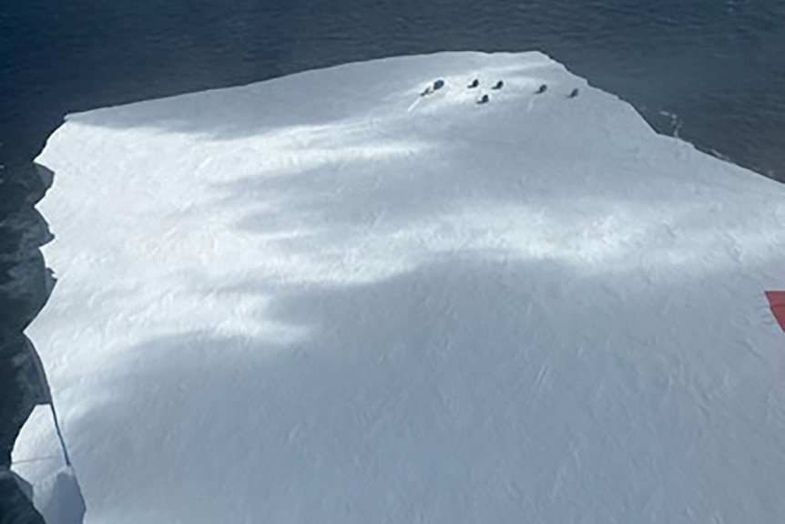 Aerial photo of an iceberg with seven shipping containers on one corner.