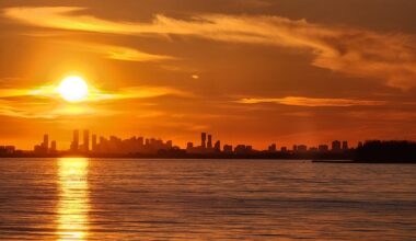Feeling the heat? Easy ways to stay cool – City of Mississauga