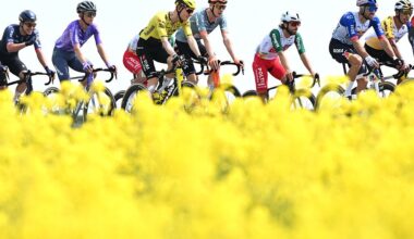 A general view of the peloton passing through flowery landscape during the 109th Giro d&amp;amp;apos;Italia 2026