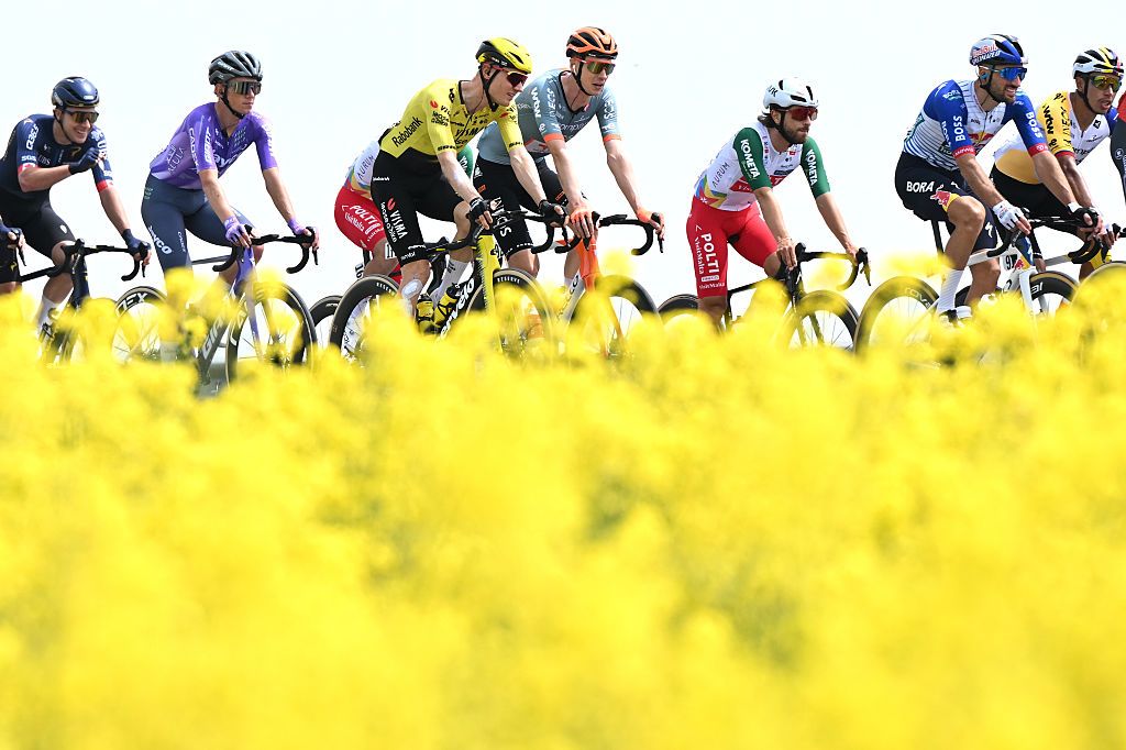 A general view of the peloton passing through flowery landscape during the 109th Giro d&amp;amp;apos;Italia 2026