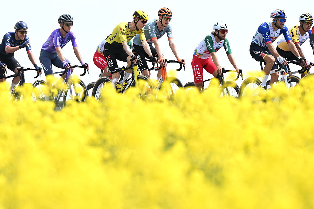 A general view of the peloton passing through flowery landscape during the 109th Giro d&amp;apos;Italia 2026