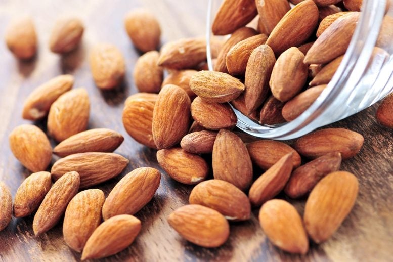 Almonds Snack Nuts