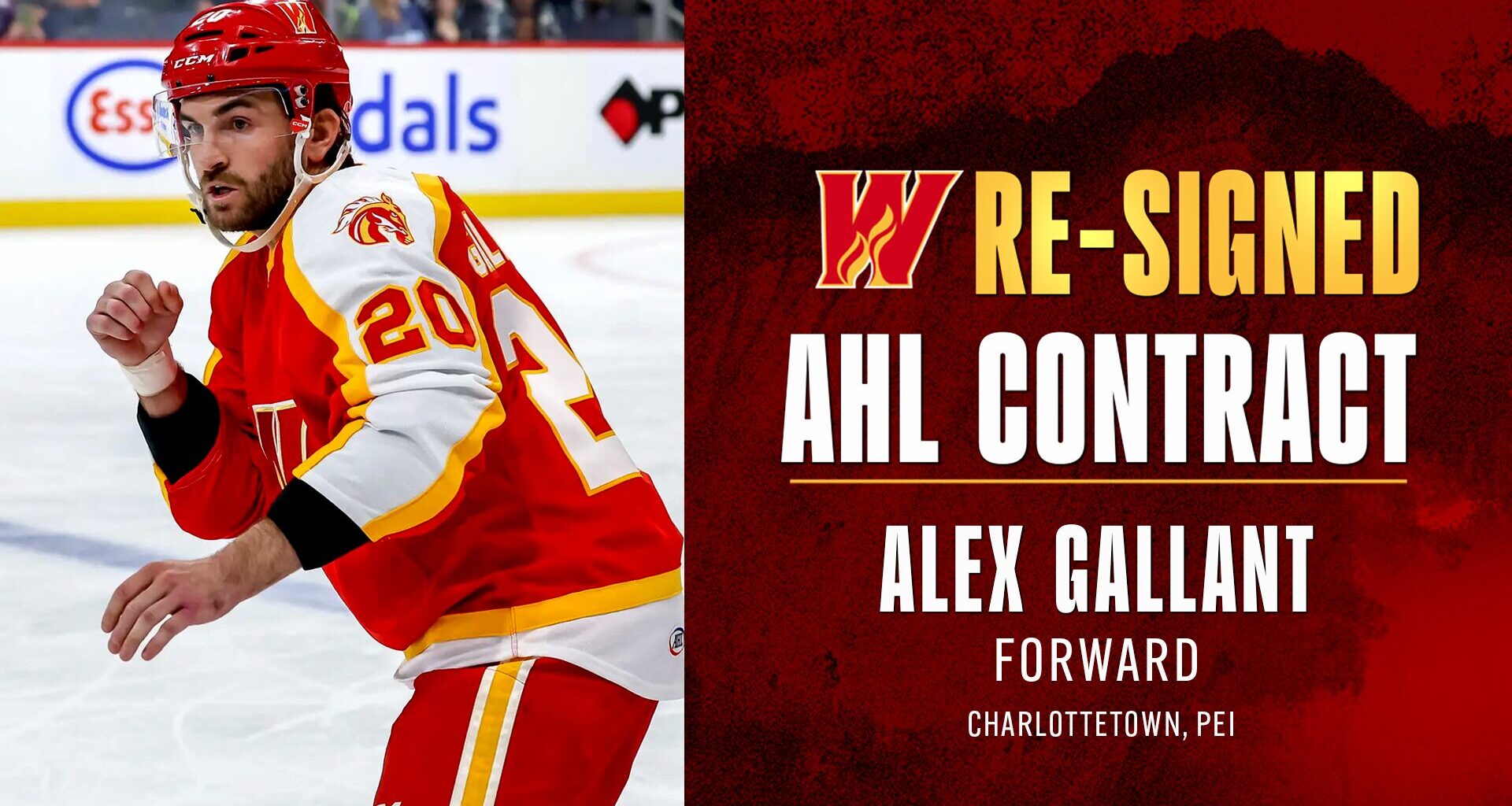 Wranglers Re-Sign Alex Gallant and Sign Kent Anderson to AHL Contracts