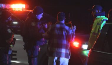 Scarborough drunk driver crashes into pole, car sets fire