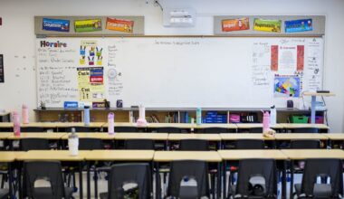 Data show racial, language disparities