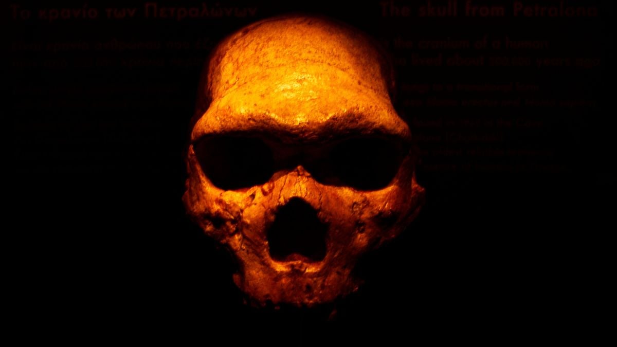A Radical Innovation Helped Archaic Humans Survive a Harsh Ice Age : ScienceAlert