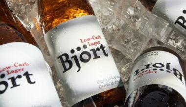 Björt, one of the world’s lowest carbohydrate beers, has set its sights on expanding across the UK. Jessica Mason speaks to its founder to investigate how consumer trends for health and wellbeing are now playing a big part in the appeal of the light lager category.