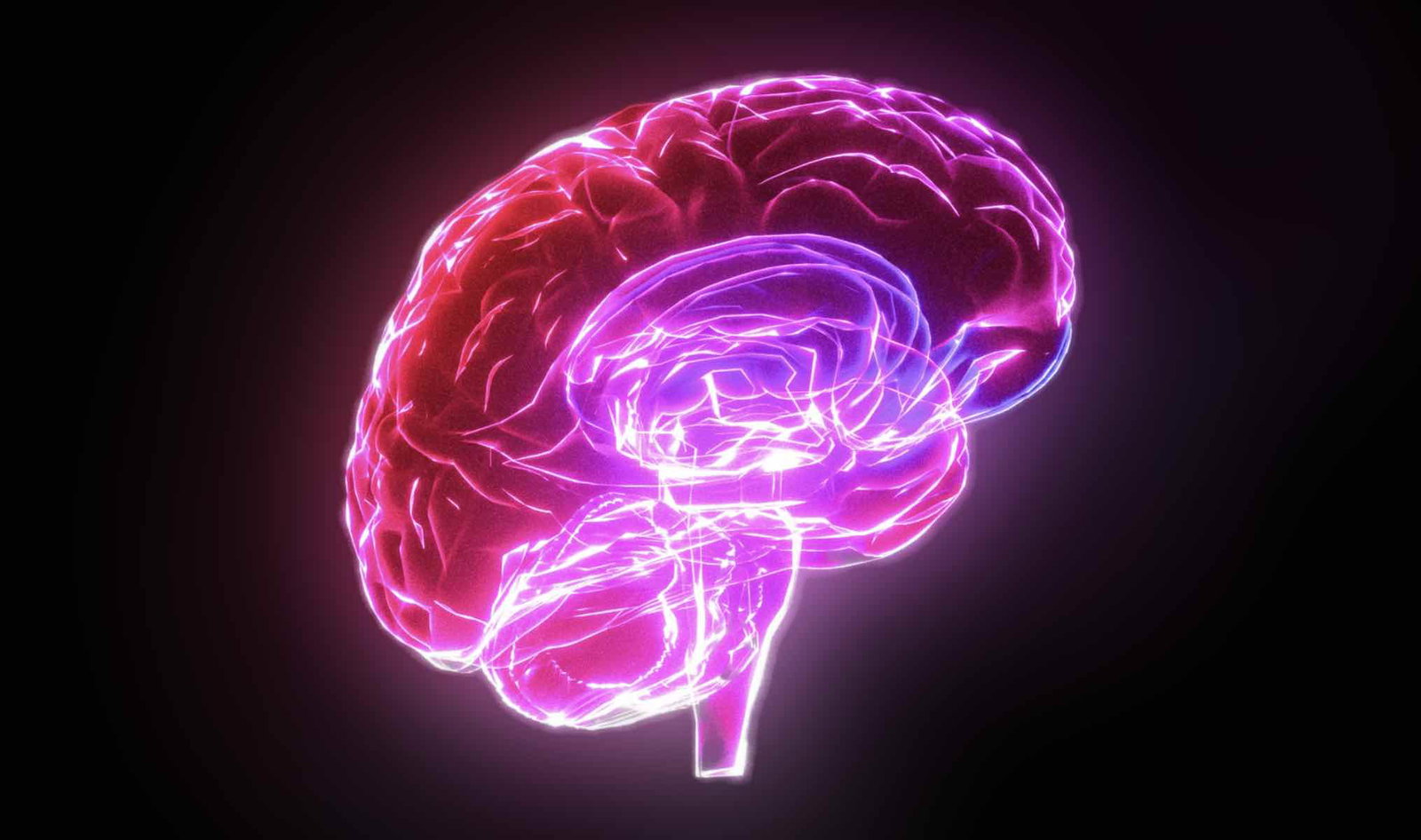 Boltzmann brains