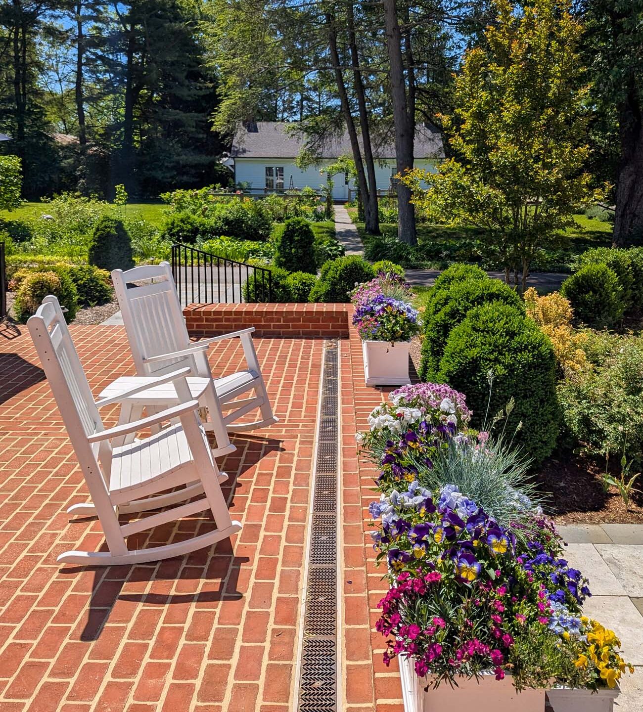 The back brick patio at Brampton 1860 in early spring, featuring two white wooden rocking chairs, a row of white planter boxes overflowing with purple, pink, yellow, and white pansies and violas, neatly trimmed boxwood hedges lining a stone pathway, towering evergreen and deciduous trees