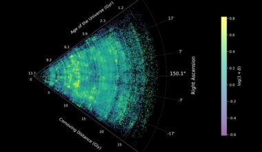 COSMOS-Web Cosmic Map
