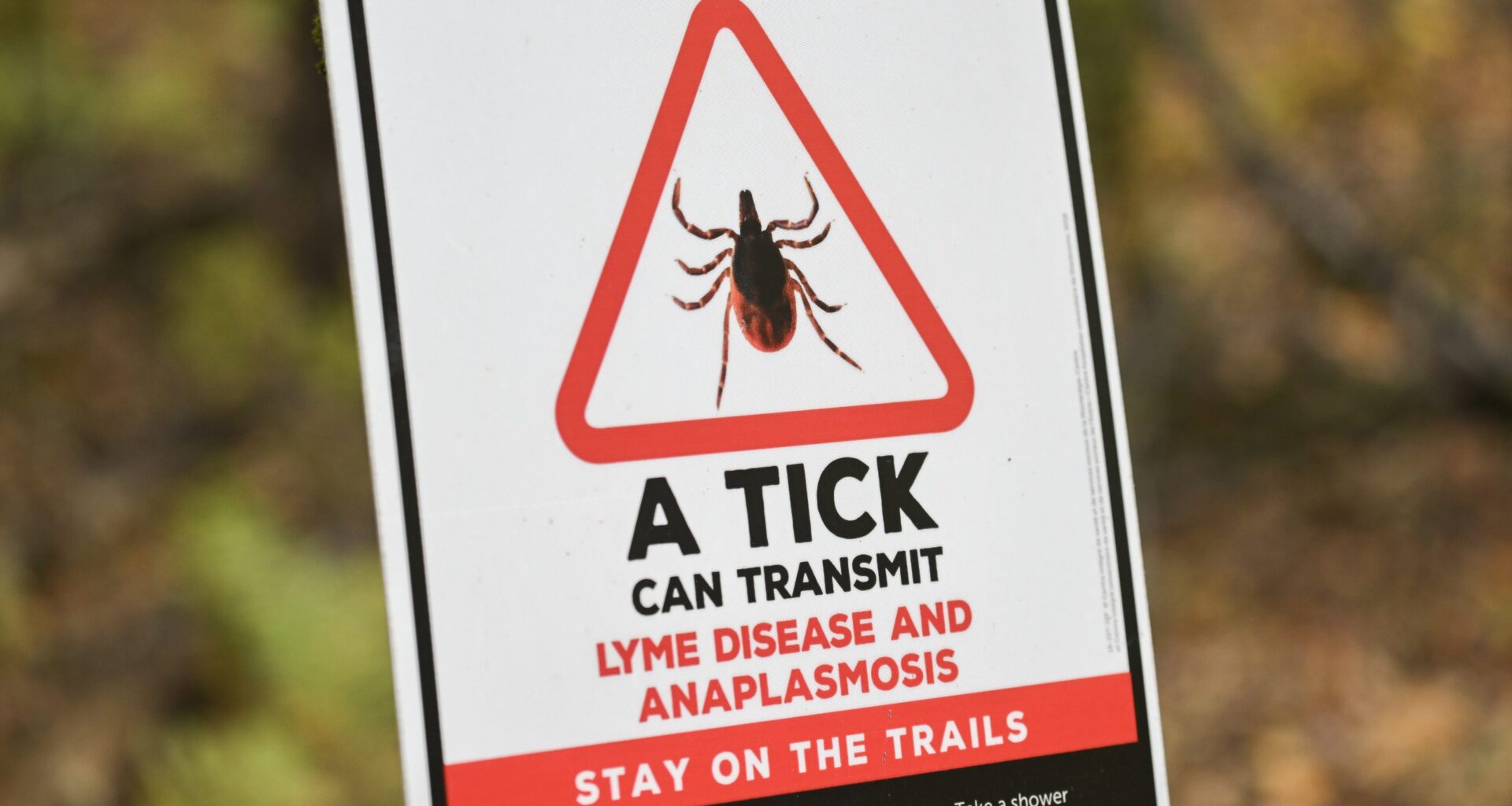Montreal recorded its highest number of Lyme disease cases in 2025