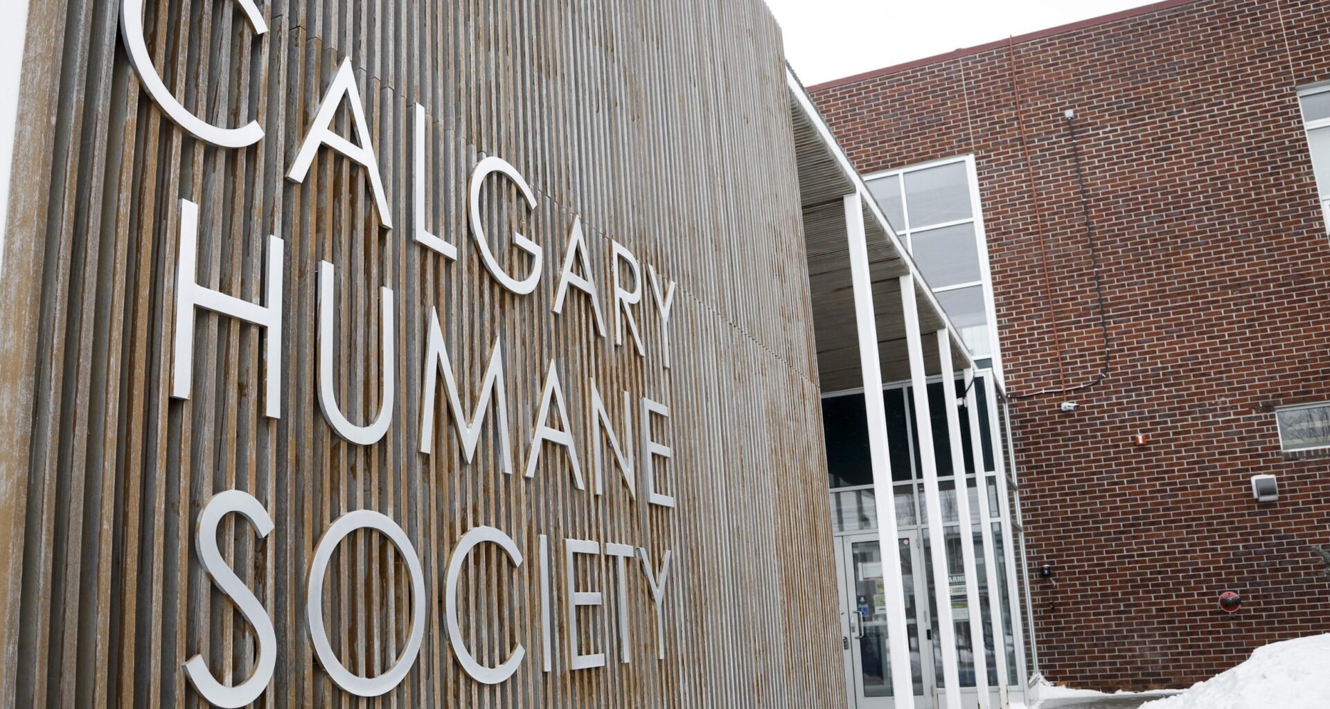 Two dogs found dead starved, neglected: Calgary Humane Society