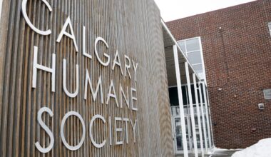 Two dogs found dead starved, neglected: Calgary Humane Society