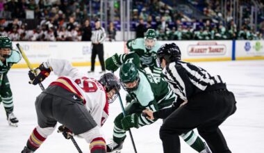 PWHL WALTER CUP PLAYOFFS: GAME 2 OTTAWA AT BOSTON PRIMER | PWHL