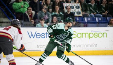 PWHL WALTER CUP PLAYOFFS: GAME 3 BOSTON AT OTTAWA PRIMER | PWHL