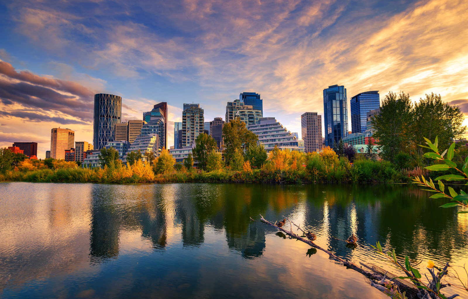 Debate grows over Calgary’s planned bike lane overhaul in Killarney