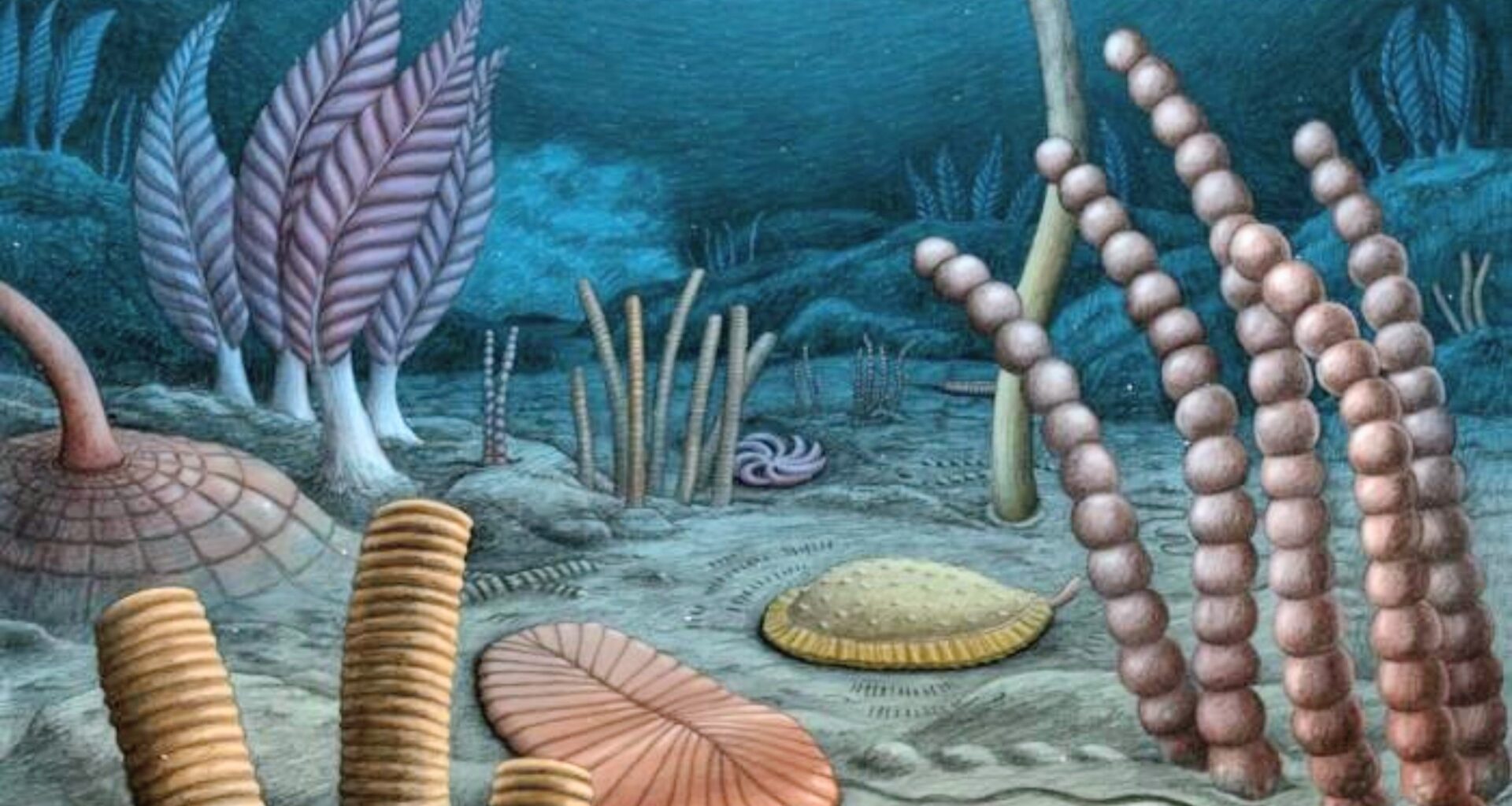 Canadian fossils may rewrite the origin story of animal life