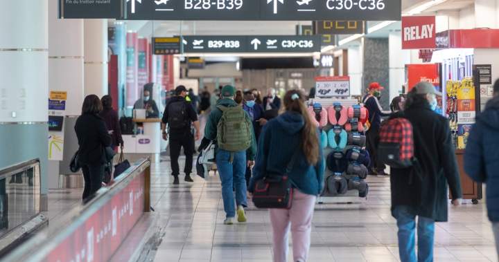 Canadian travel to U.S. tanked 24% in late 2025 from year before: data - National