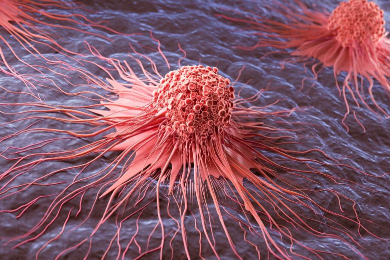 Cancer Cell Spread Abnormal Growth