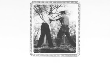 Stereogum home