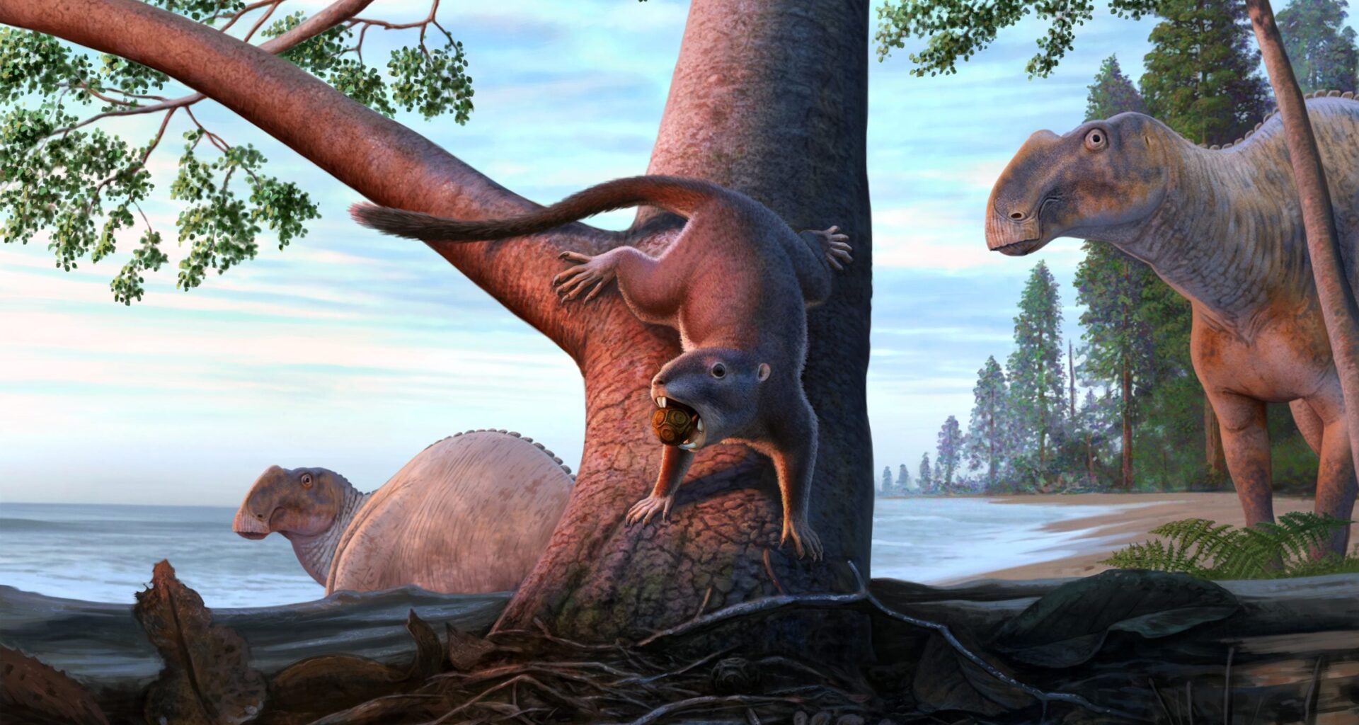 This Tiny Creature Survived a World of Dinosaurs and Changed What Came Next