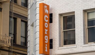 Corgi announces $106M raise at $2.6B valuation — double what it was worth 3 weeks ago