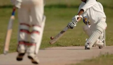 brampton cricket league tournament summer