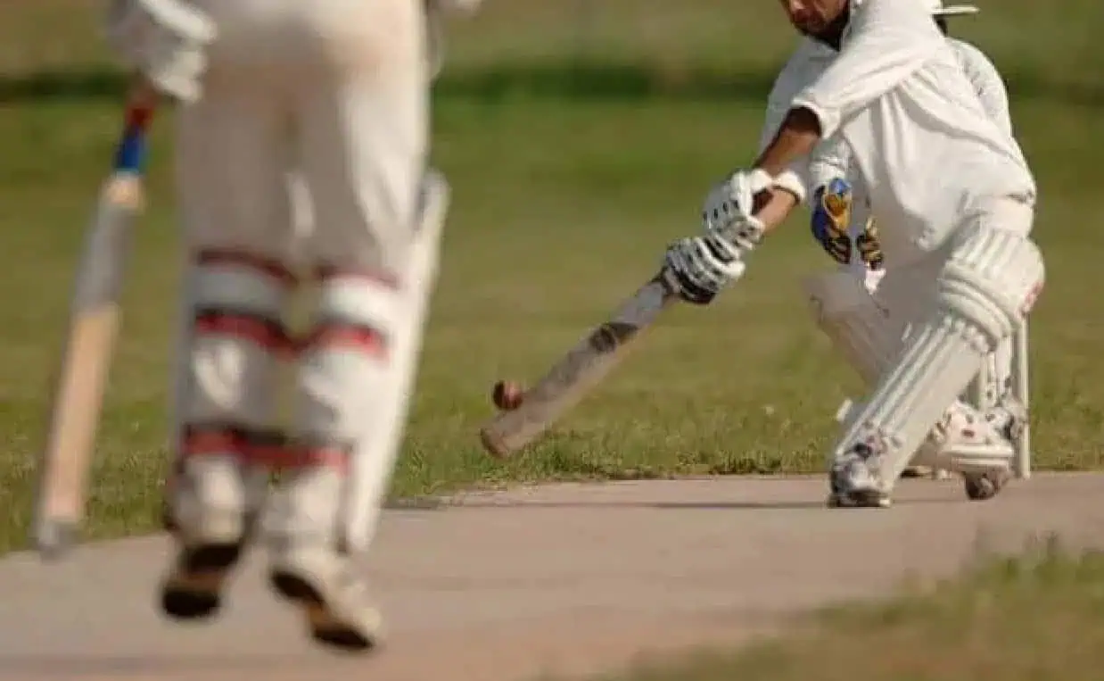 brampton cricket league tournament summer