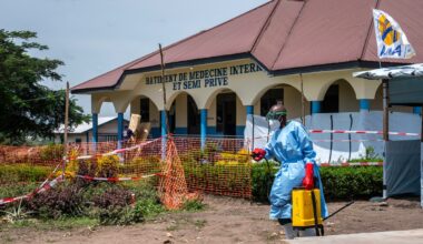 Ottawa to halt processing visitor applications for three African countries over Ebola concerns