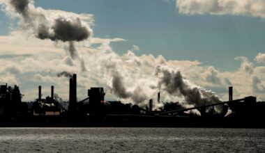 Study links air pollution to poorer brain health
