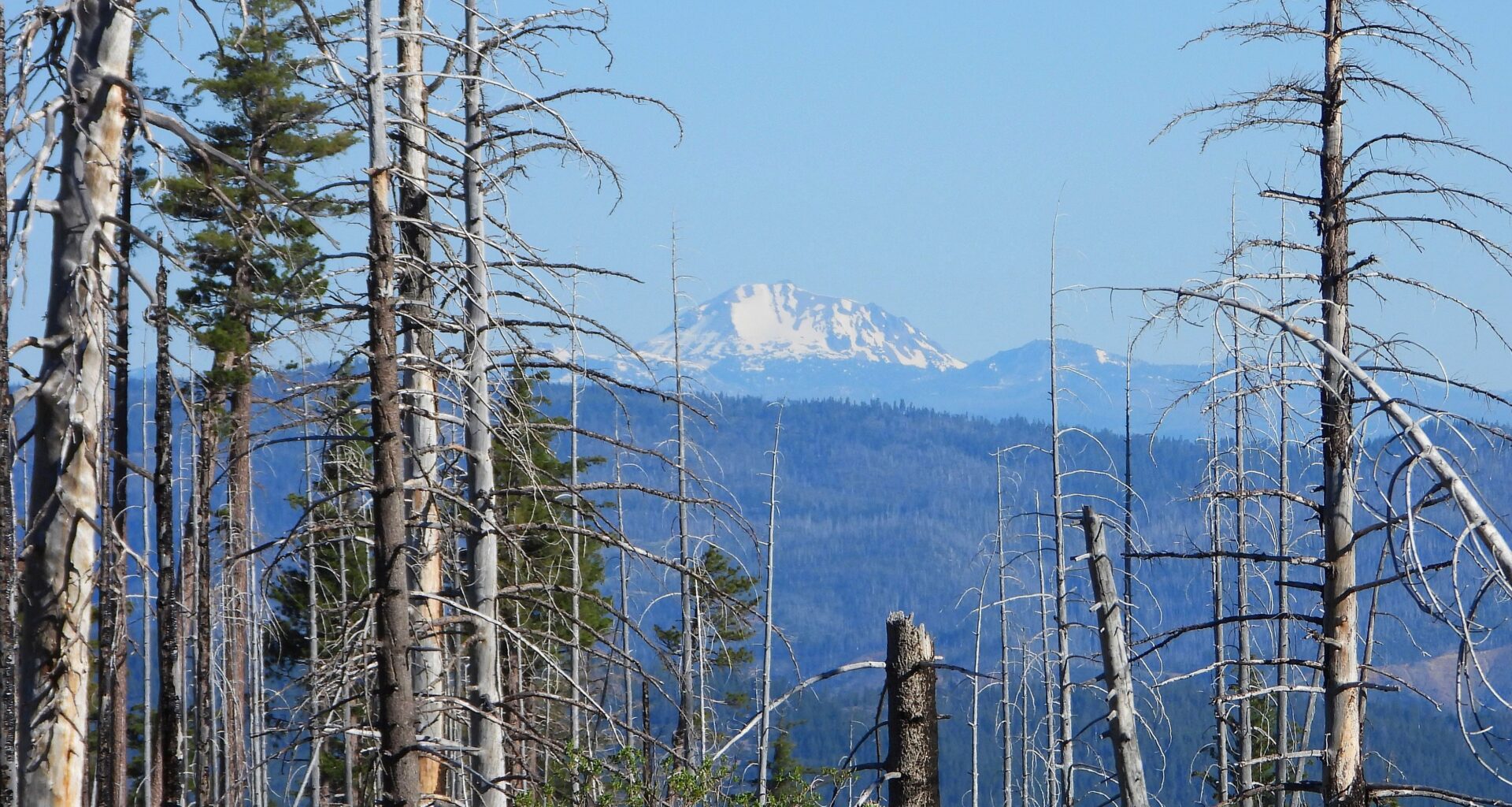 10 Gems of Bluesky Today – Day 343