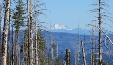 10 Gems of Bluesky Today – Day 343
