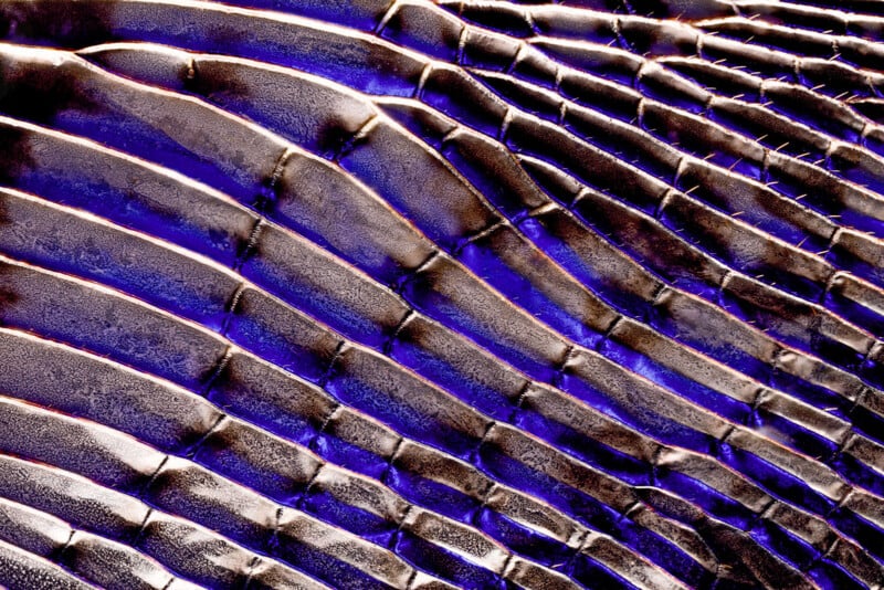 Close-up of a textured surface with repeating, wavy ridges and grooves. The surface has a metallic sheen with purple and bronze highlights, creating an abstract, geometric pattern.