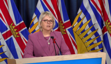 Provincial health officer makes statement about MV Hondius