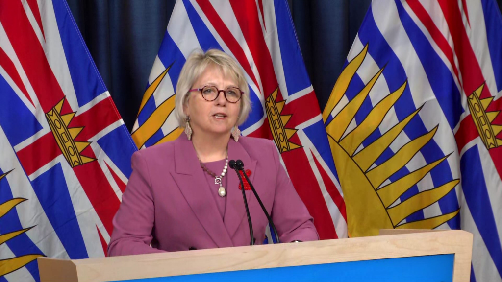 Provincial health officer makes statement about MV Hondius
