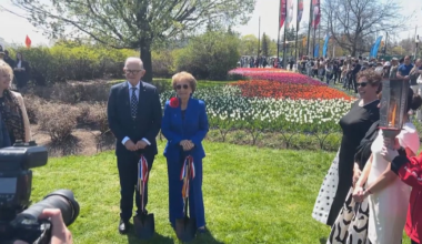 Princess Margriet of the Netherlands opens 74th Tulip Festival