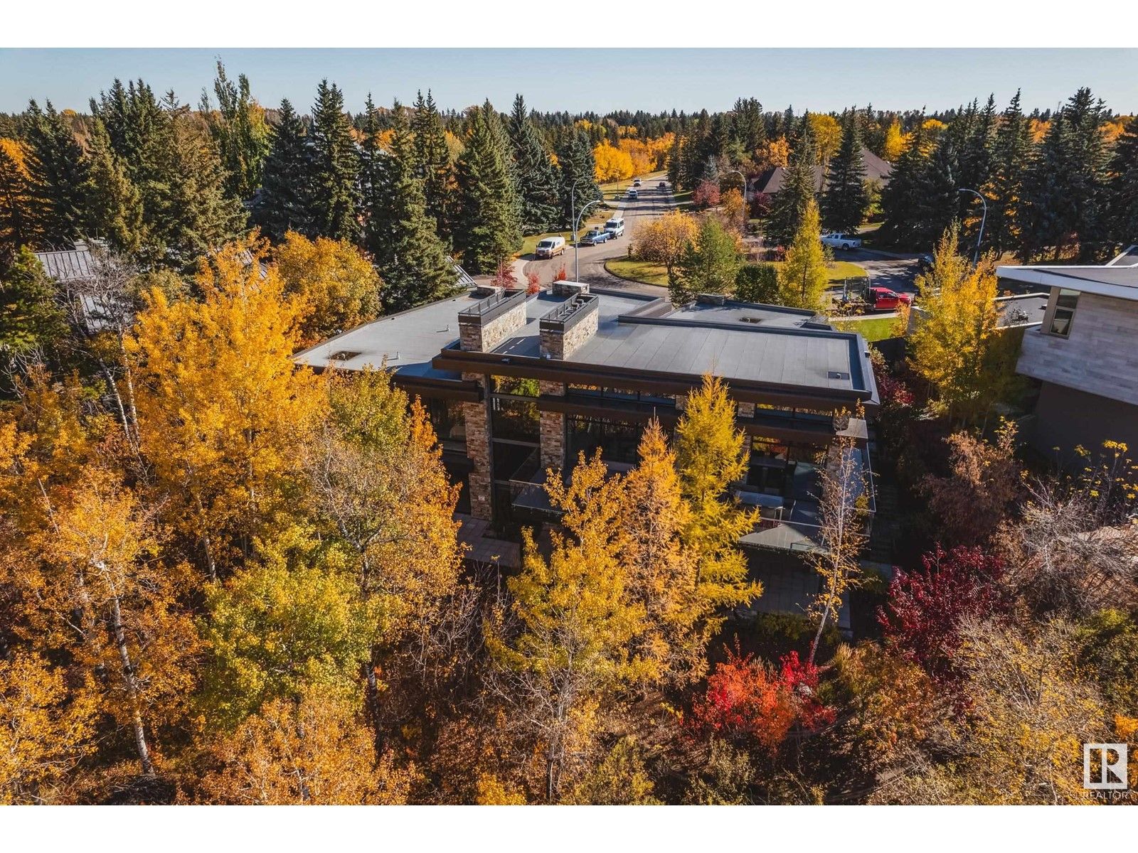 Edmonton whitemud