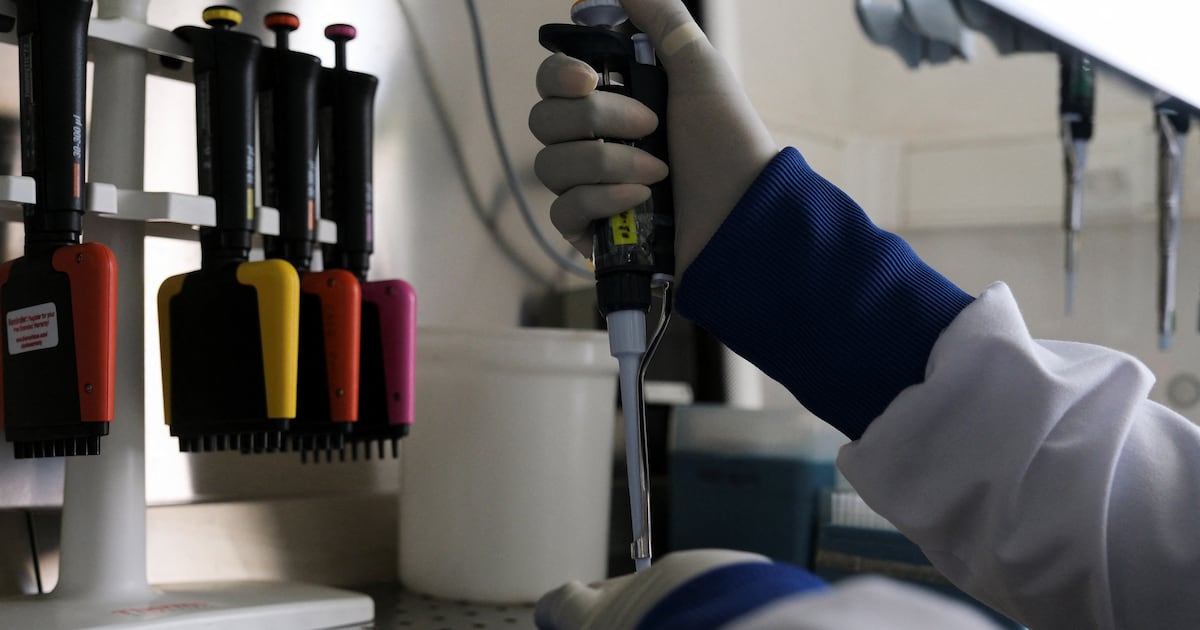 Hantavirus cases from cruise outbreak rise to 13 following new case in Spain, WHO says
