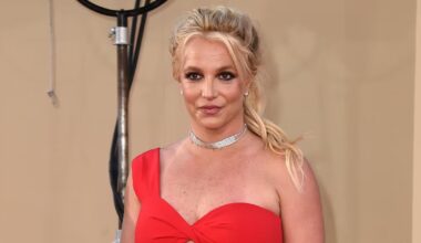 Britney Spears charged with DUI involving drugs and alcohol - CTV News