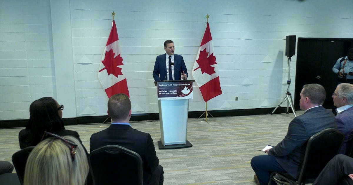 Federal government invests over $20M in southwestern Ontario businesses to combat tariff impacts - CTV News