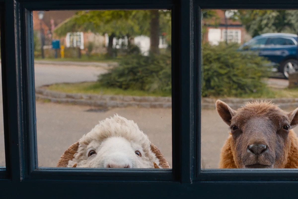 What’s the verdict on The Sheep Detectives? Not baaaad at all