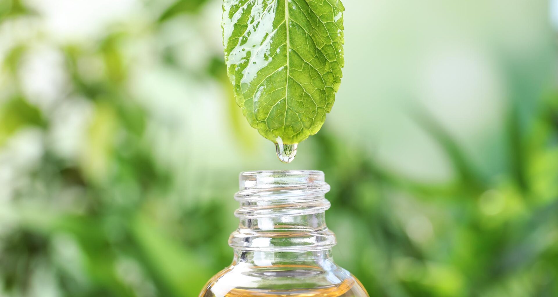 Essential Oil Dripping Mint Leaf Glass Bottle