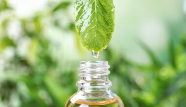 Essential Oil Dripping Mint Leaf Glass Bottle