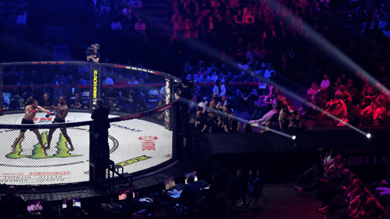 MMA Fight