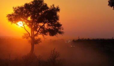 Tourists killed in South Africa national park: authorities