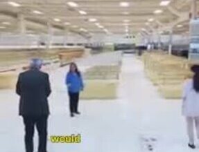 Food World Plus Walkthrough