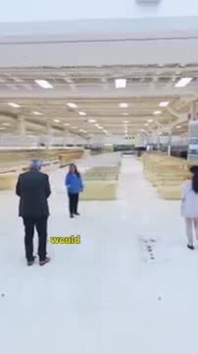 Food World Plus Walkthrough