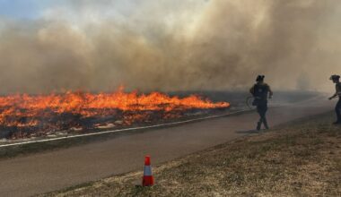 Firefighters burn parts of Edmonton river valley park to reduce wildfire risk