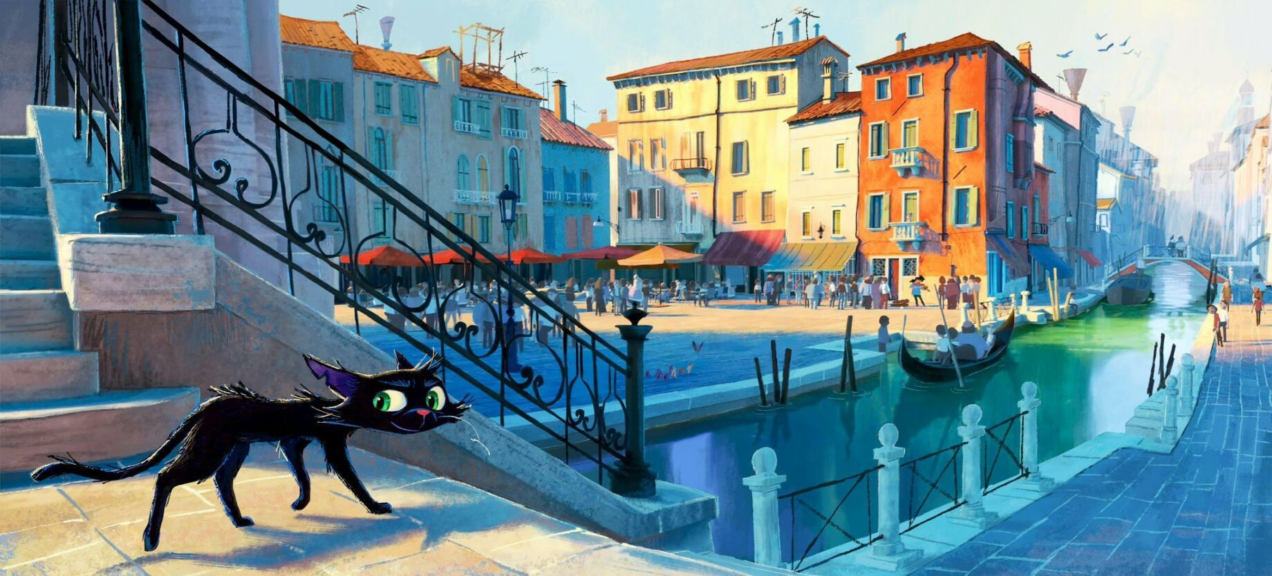 gatto