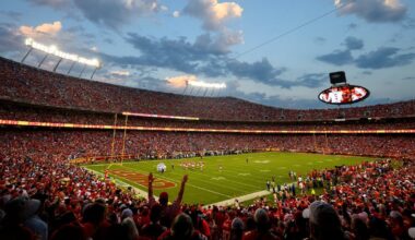 Players strongly want 'high quality' grass fields